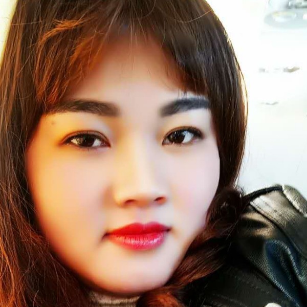 香菇演变机智的照片
