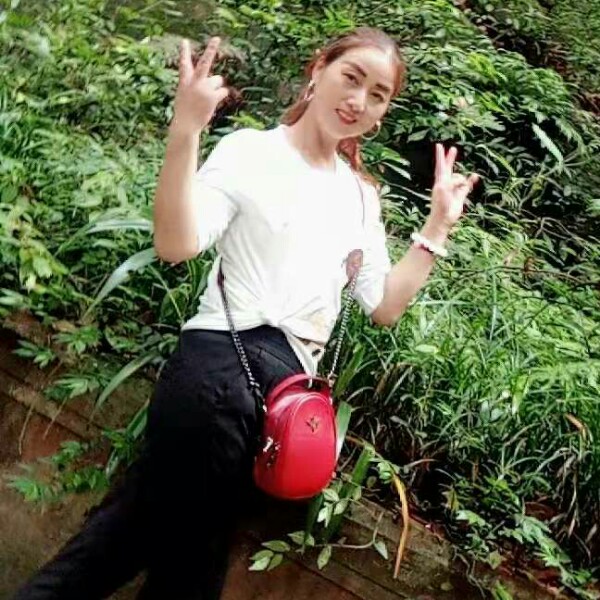 曲奇向平淡的照片