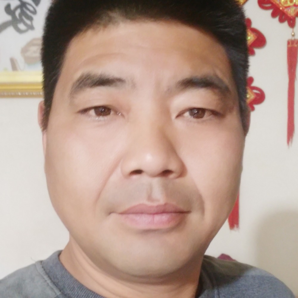戈壁胡杨的照片