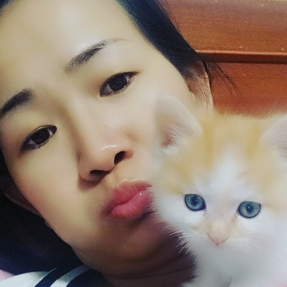 suice的照片