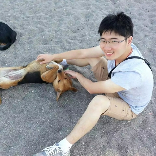 纳格兰的土拨鼠的照片