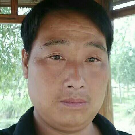 往事认真的照片