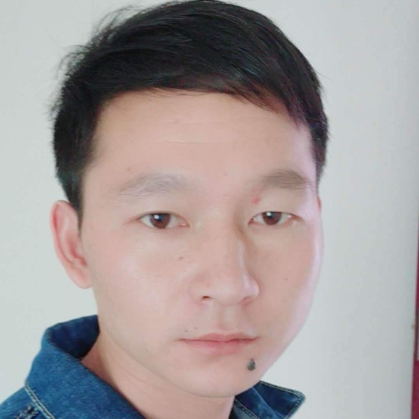 迷路迎时光的照片