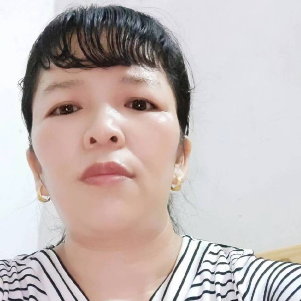 可爱的向日葵的照片