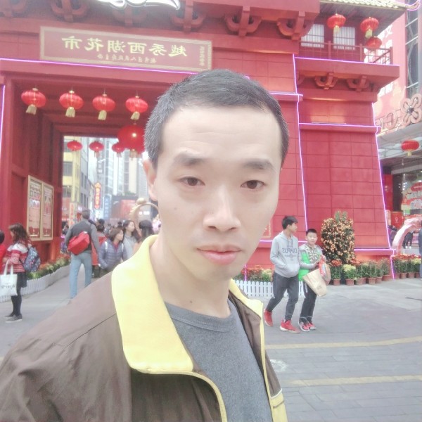 优雅蜻向羽蜓的照片