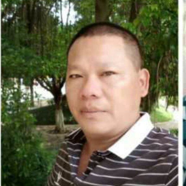 沙，漠，之，鹰的照片