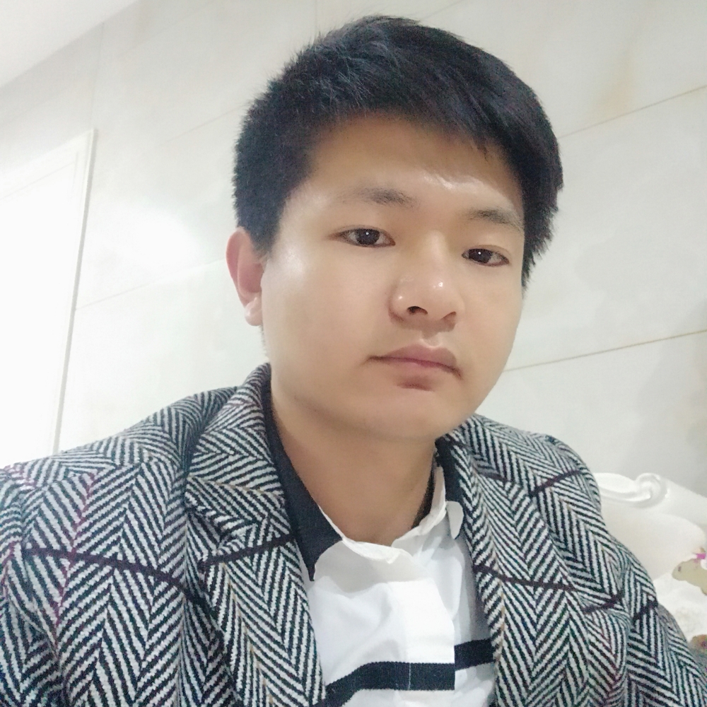动听演变小鸽子的照片