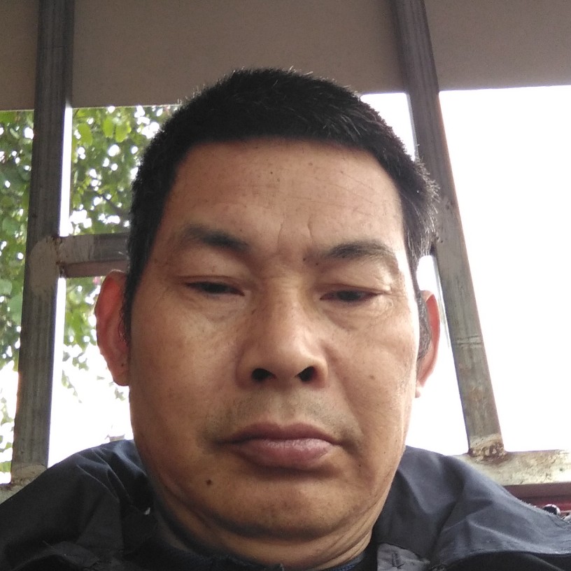 火车我们的的照片