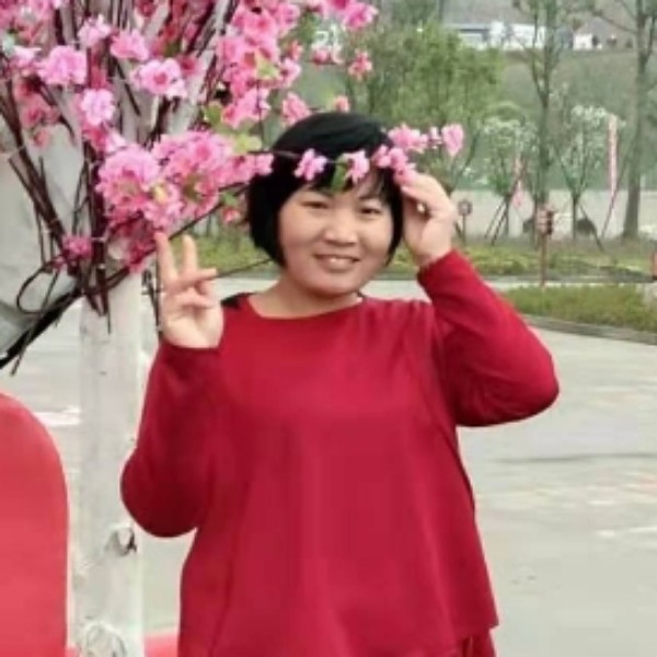 玫瑰迎坚强的照片