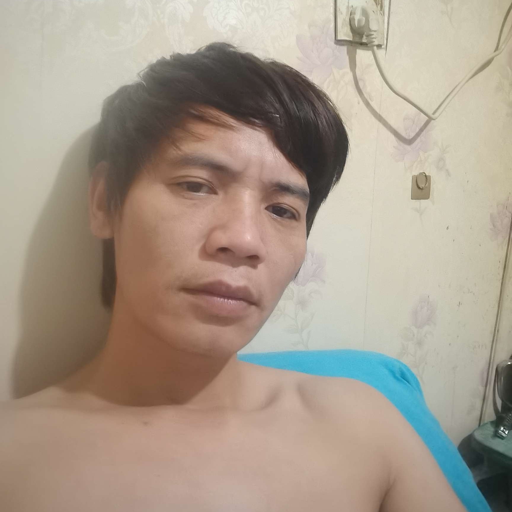 幸福灰狼475的照片