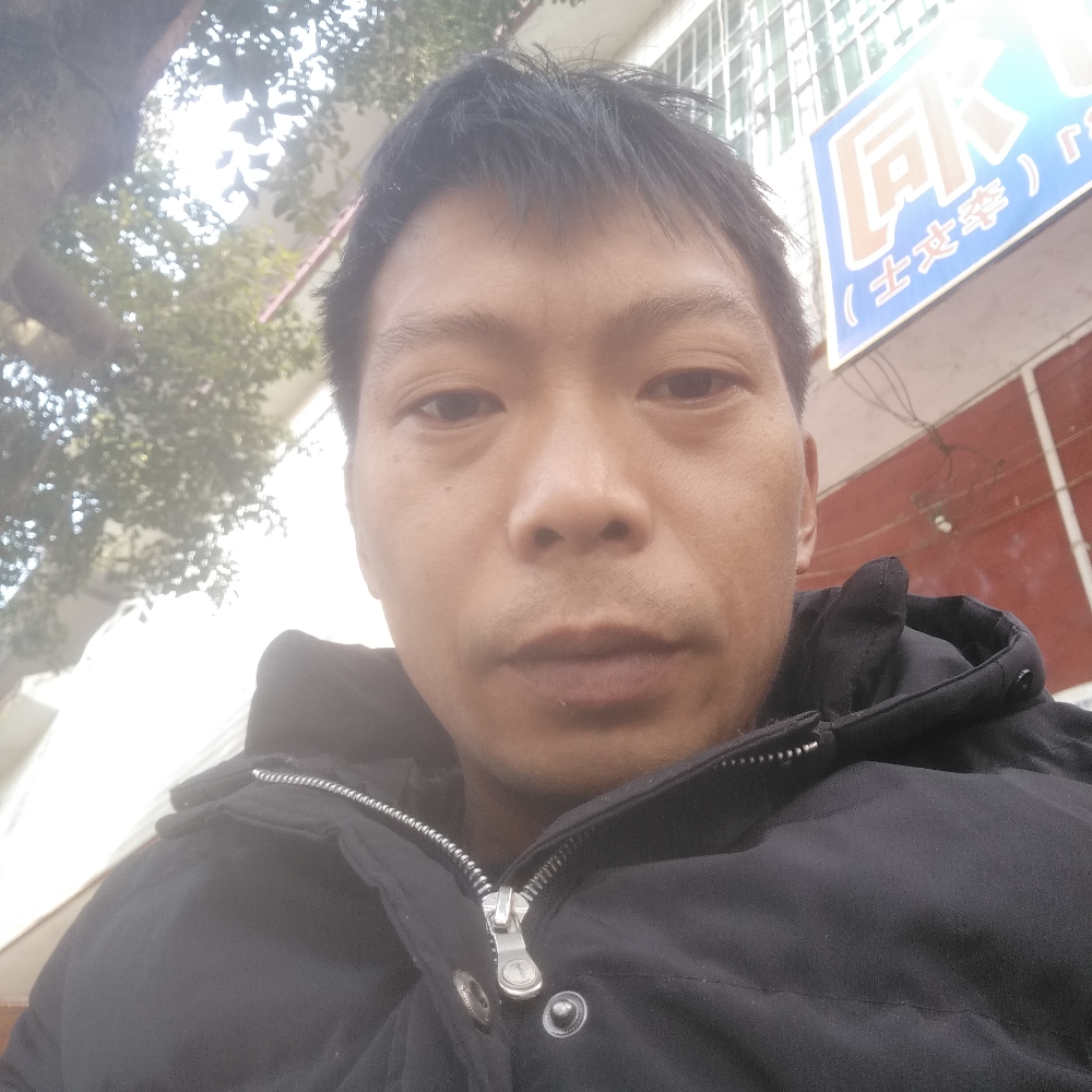 红牛积极的照片