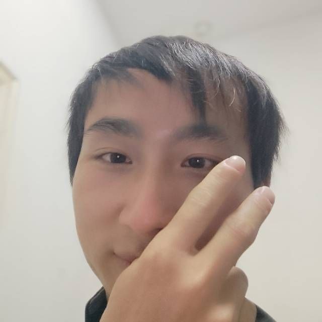 白猫给自由的照片