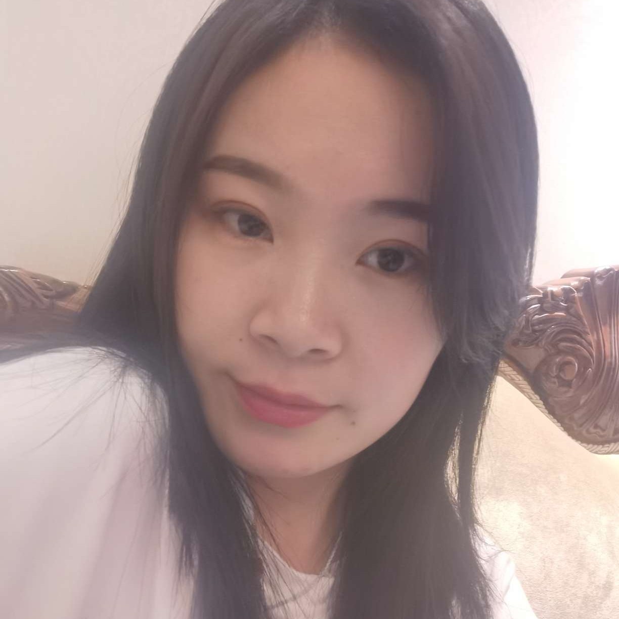 小野猫的照片