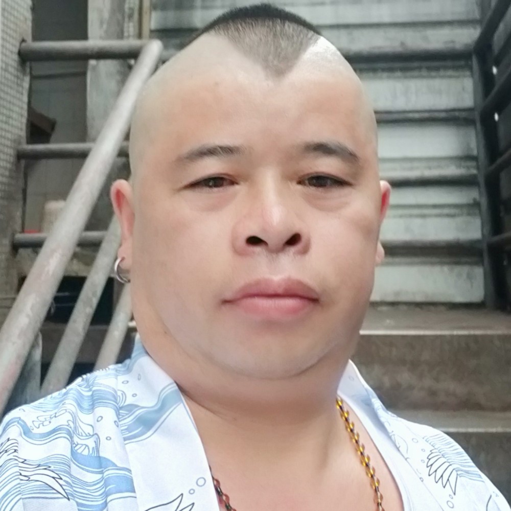 血管的照片