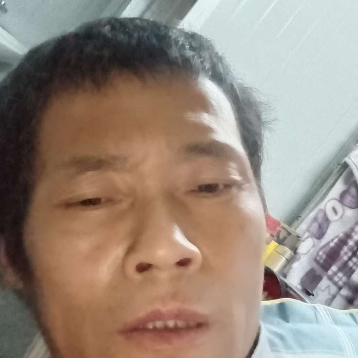 明媚凝眸夏露的照片