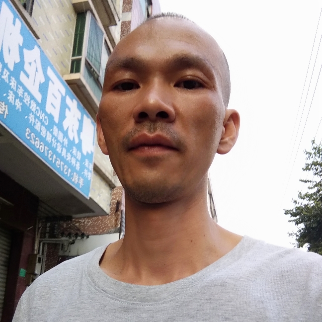 鸵鸟活泼的照片