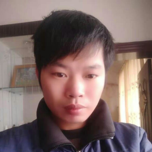 小熊猫邂逅的照片