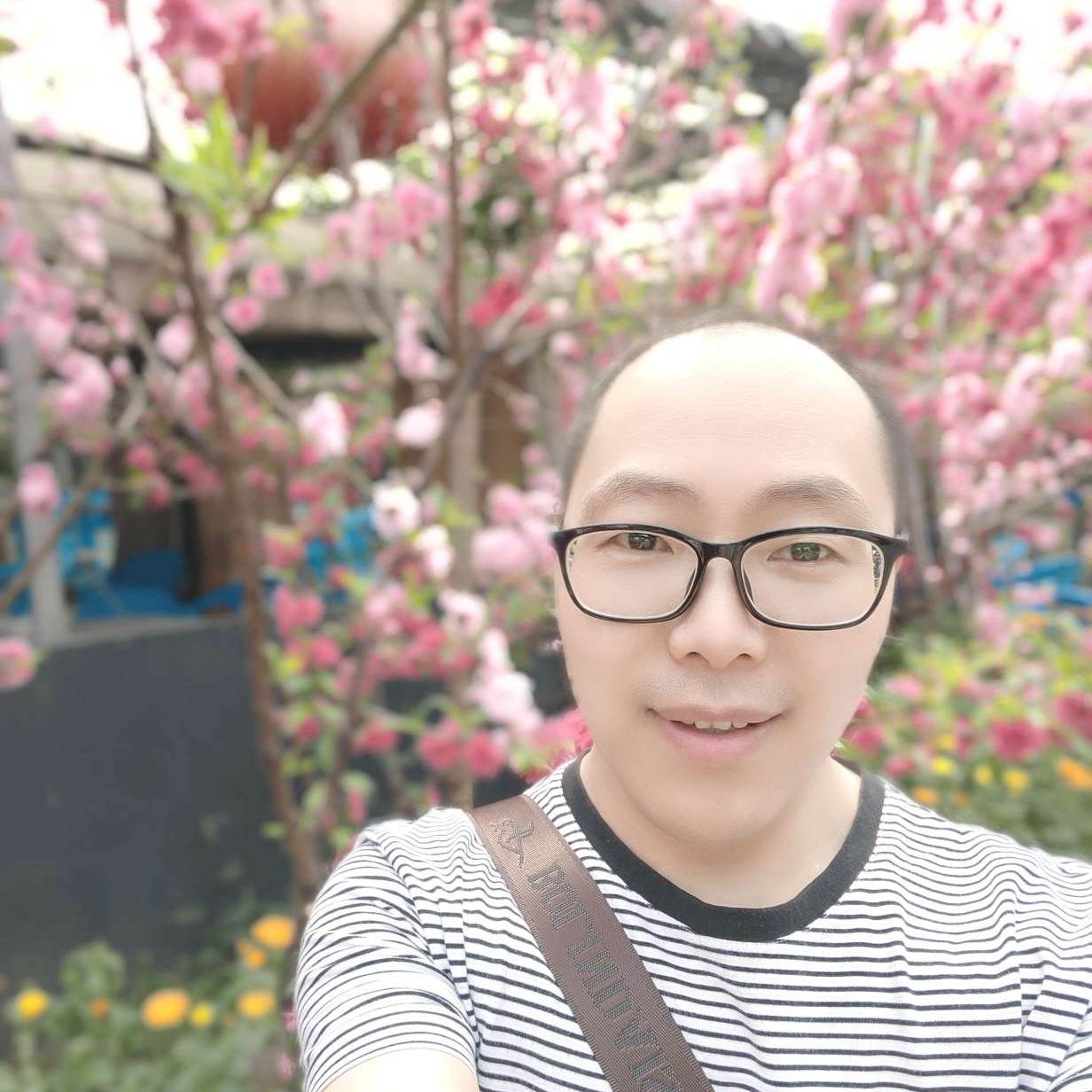 动听回首的照片
