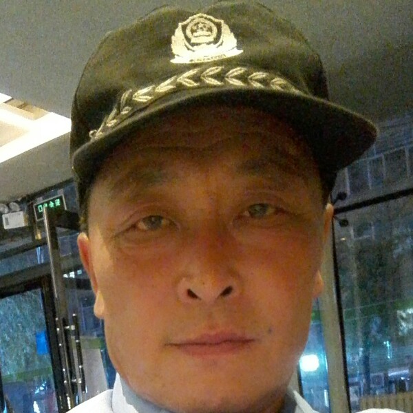 大雁等待生动的照片