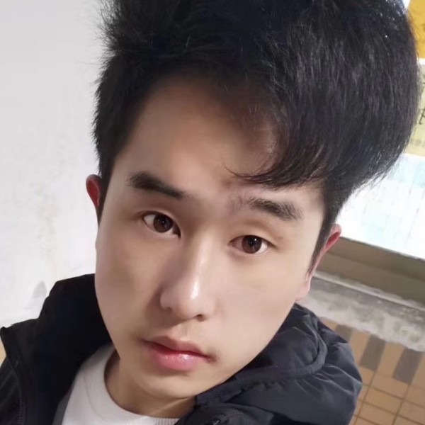 感性的小熊猫的照片