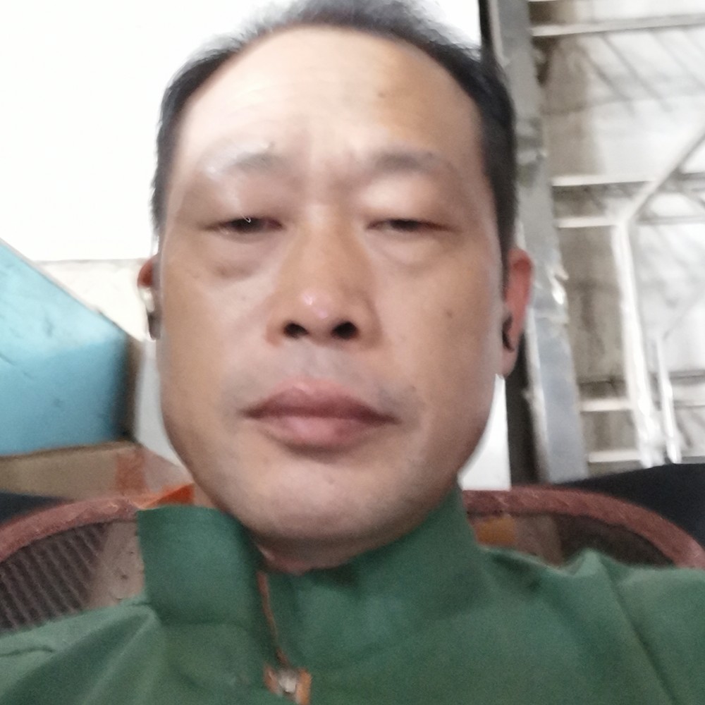 斑马开放的照片