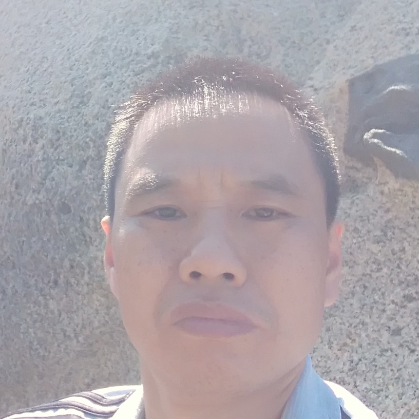 浮漫步蜜蜂的照片