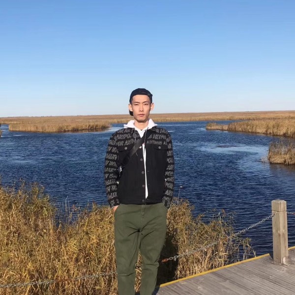 极地双子星的照片