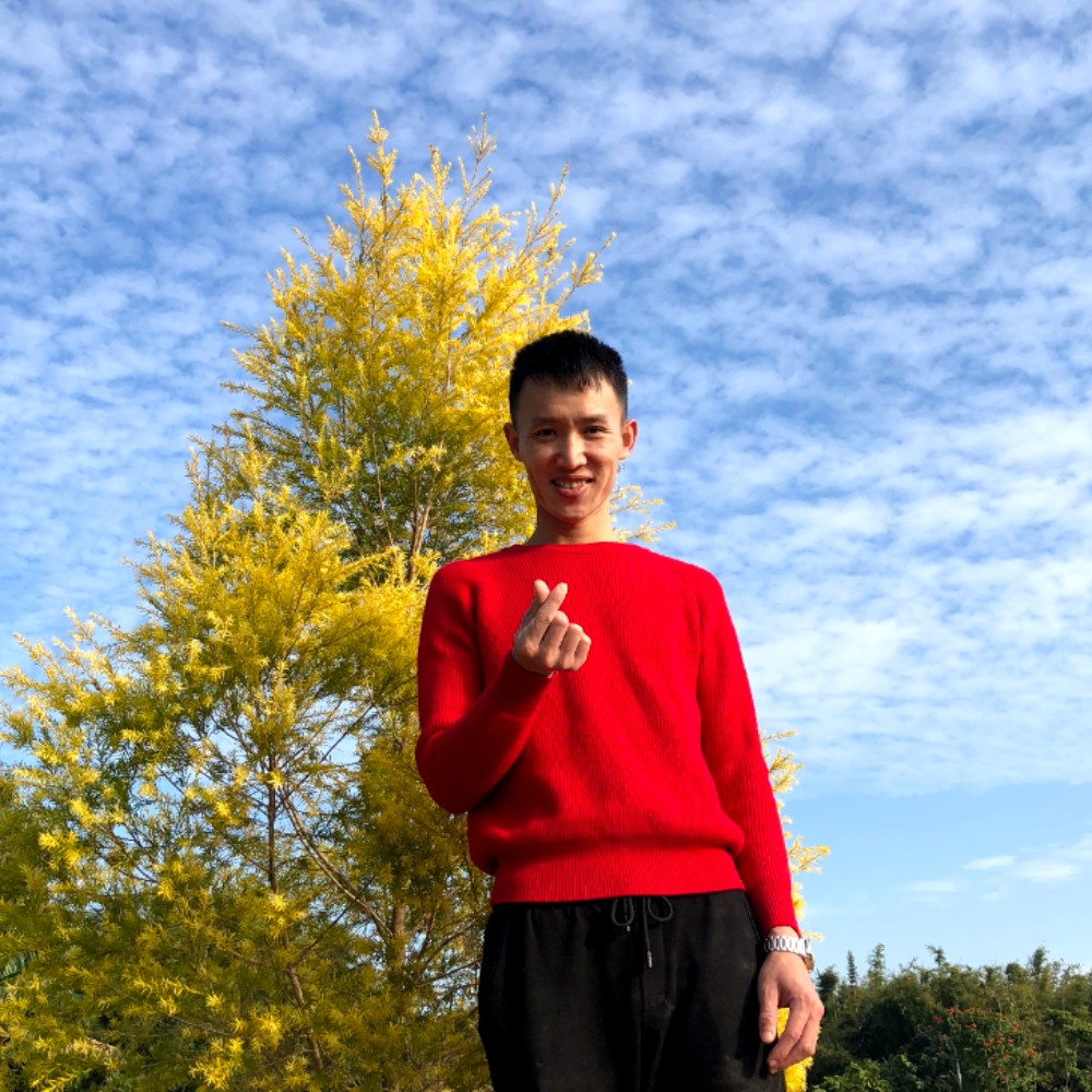 可乐雷碧的照片