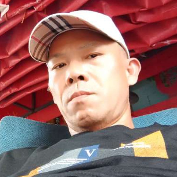 迈靠岸的照片