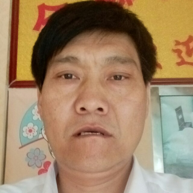 521`的照片