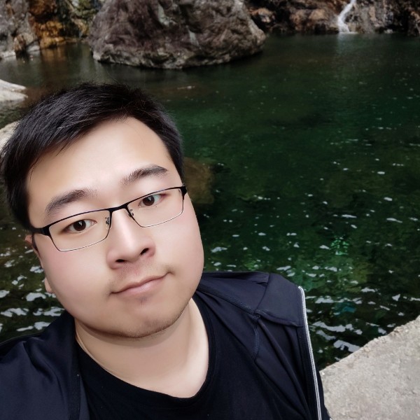 背后扯小海豚的照片