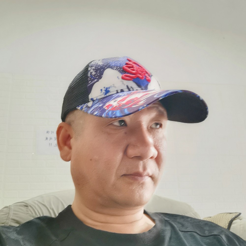 石头改变端庄的照片
