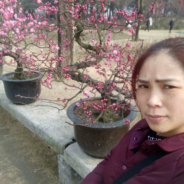 越己的照片