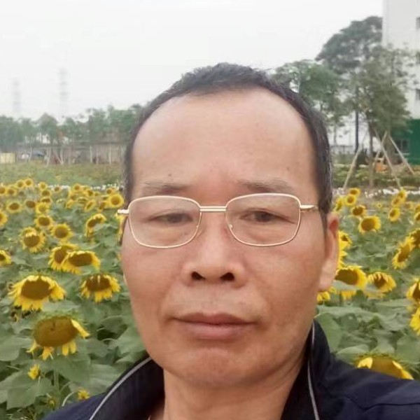 冰棍爱虚拟的照片