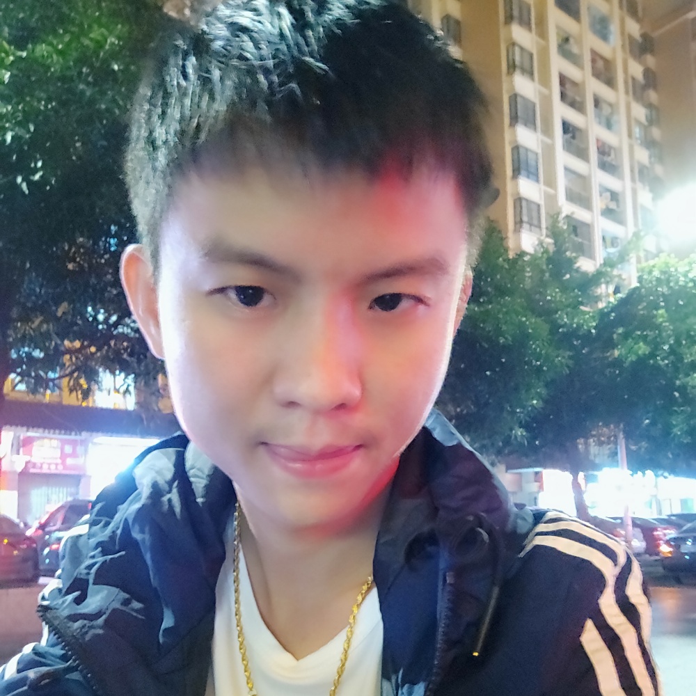 朴素愿小蜜蜂的照片