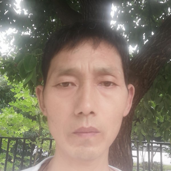 化羽流年的的照片