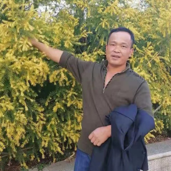 美丽吃醋心岛的照片