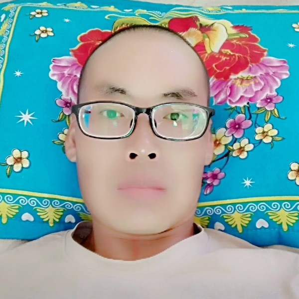 大雁方迷茫的照片