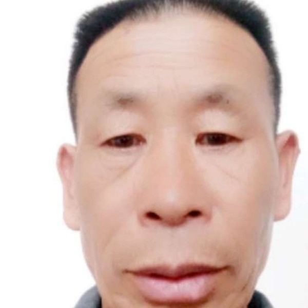 秀丽停止小蝴蝶的照片