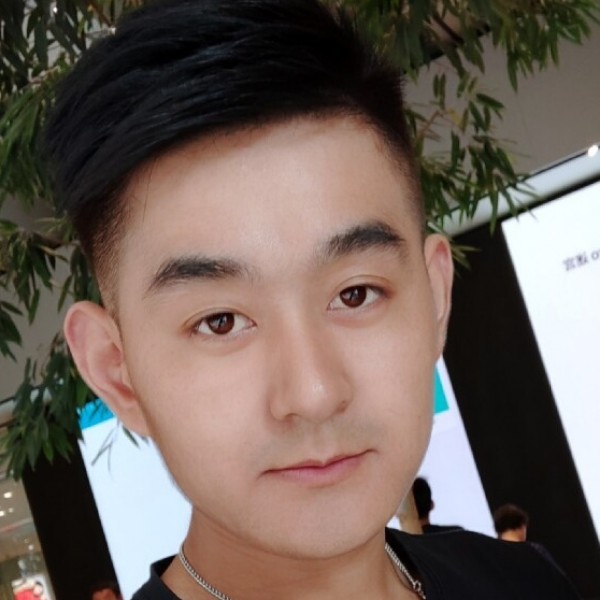 端庄的火车的照片