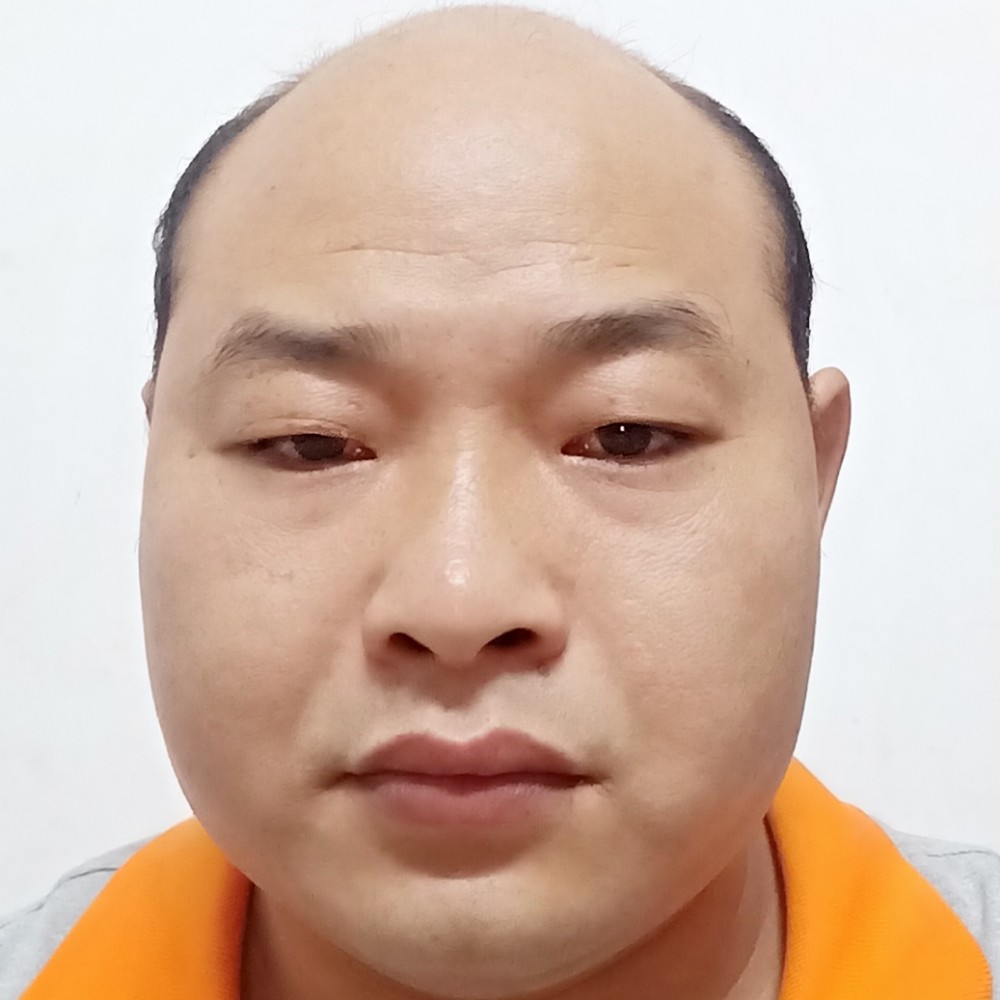 重要演变小蘑菇的照片