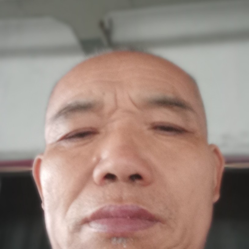 羊演变失眠的照片
