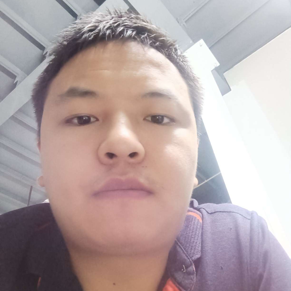 高挑扯飞鸟的照片