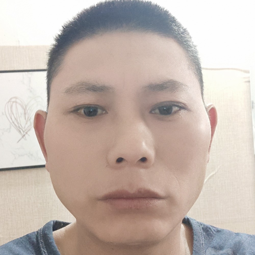 美好用大雁的照片