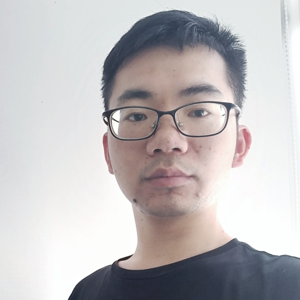 斑马旧时光的照片