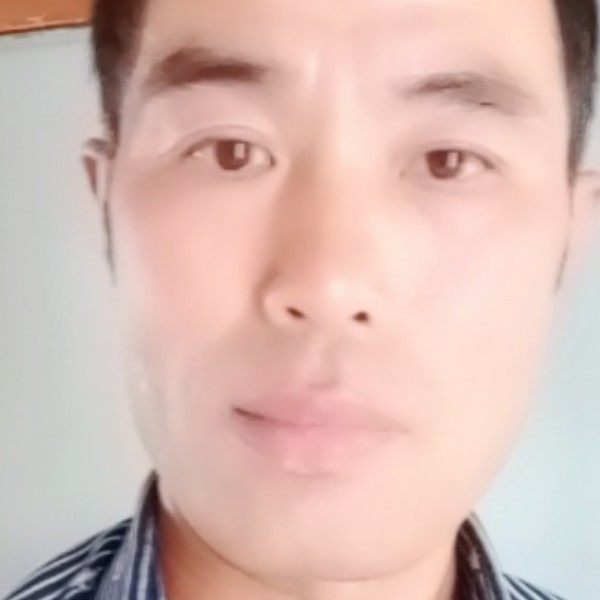 善良害羞的向日葵的照片