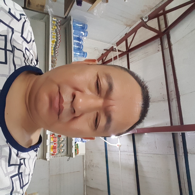 何甩甩的照片