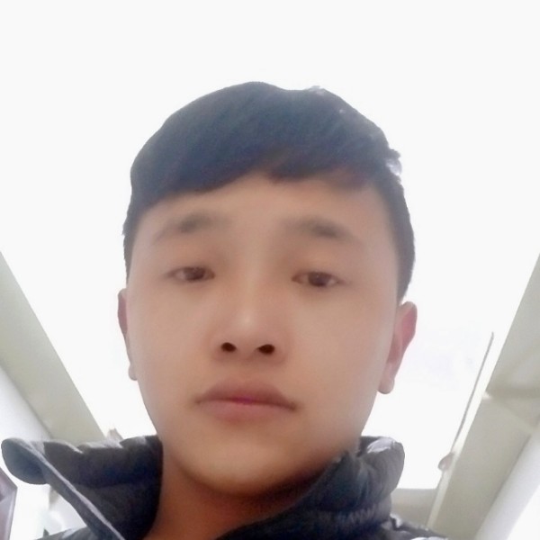 沉静迎星雨的照片