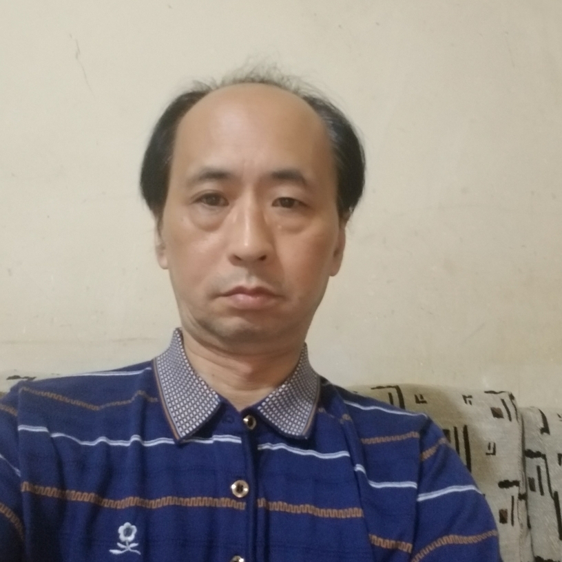 老虎漫步狂野的照片
