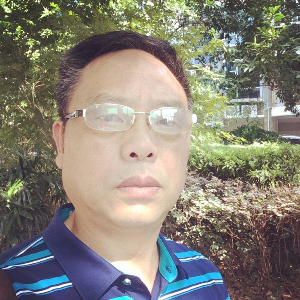 向日葵爱体贴的照片